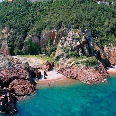 Rez De Jardin Au Calme Et Proche Mer Mandelieu La Napoule Bagian luar foto