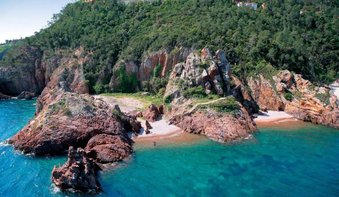 Rez De Jardin Au Calme Et Proche Mer Mandelieu La Napoule Bagian luar foto